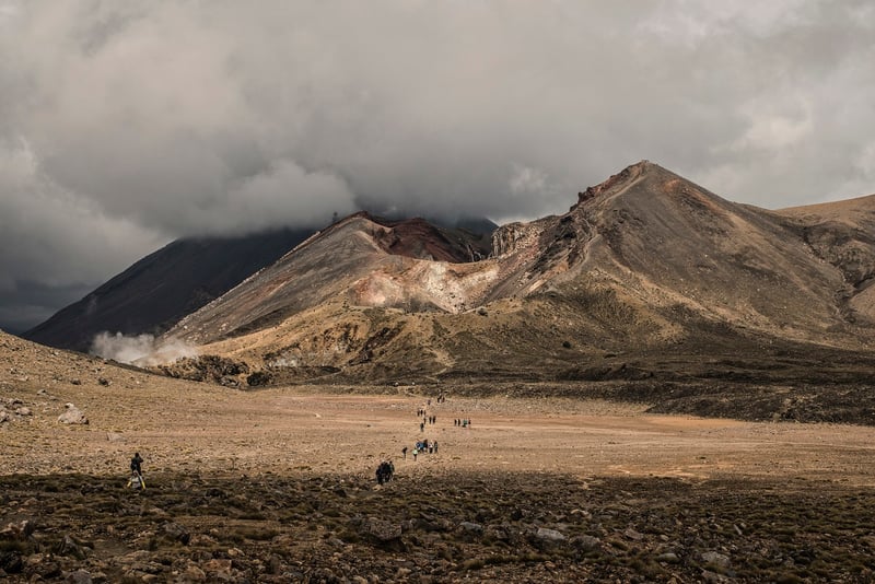 New Zealand Landscape